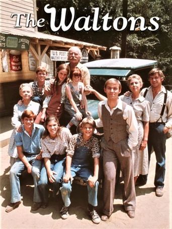  The Waltons Poster
