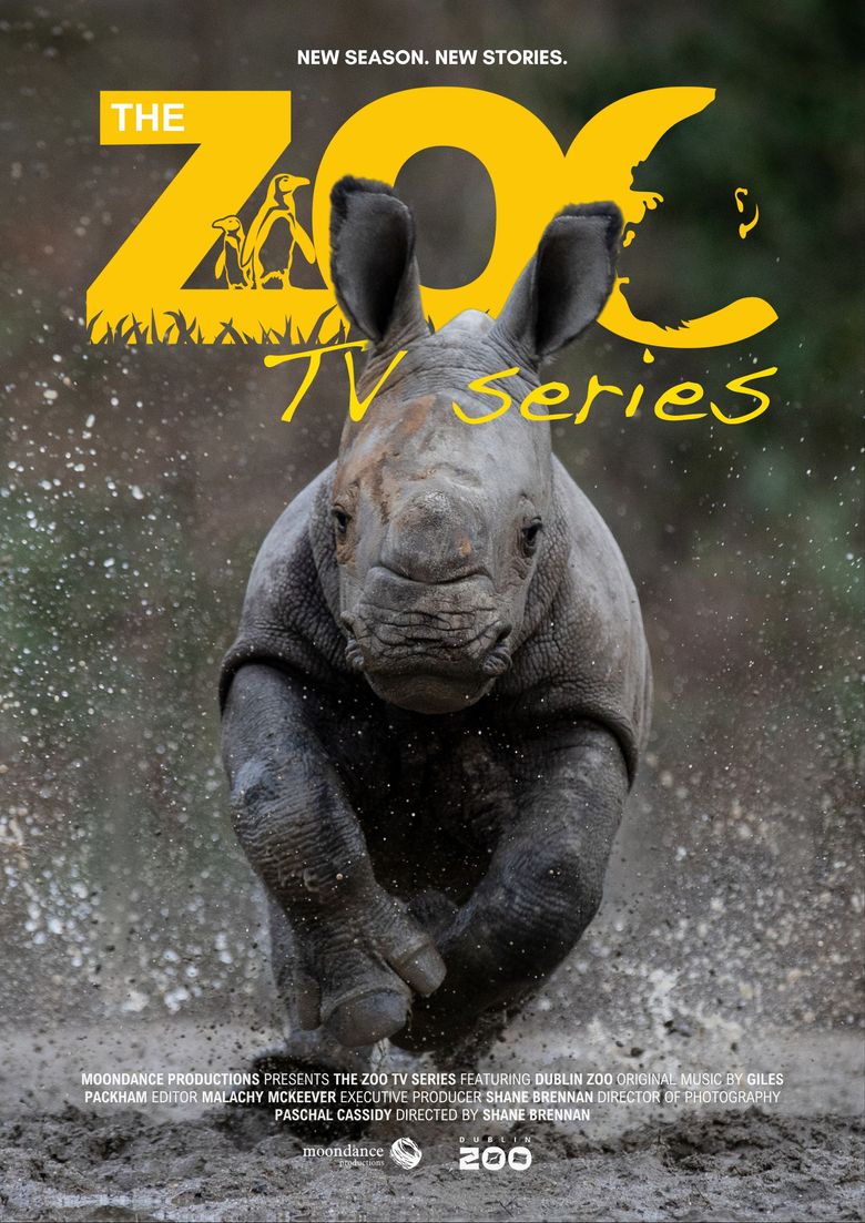 The Zoo