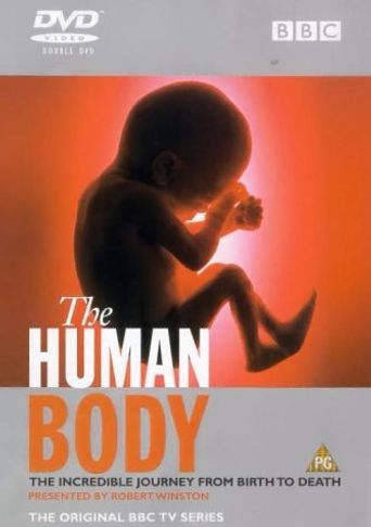  The Human Body Poster
