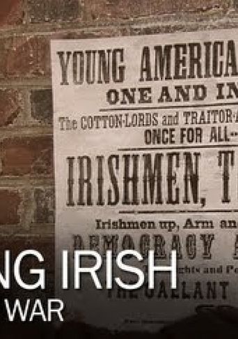 Fighting Irish of the Civil War Poster