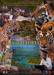  Emerald Forest Return of the Tigers Poster