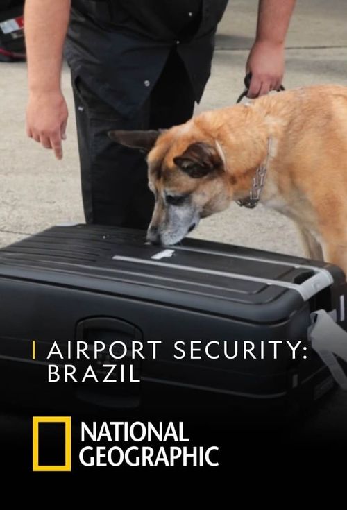 Airport Security: Colombia Season 5 Poster