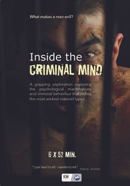  Inside the Criminal Mind Poster