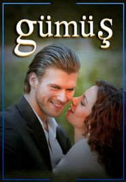  Gümüs Poster