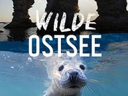  Wilde Ostsee Poster