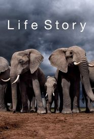  Life Story Poster