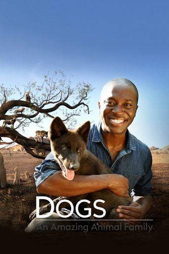  Amazing Dogs Poster