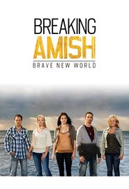  Breaking Amish Poster