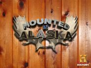 Mounted in Alaska Poster