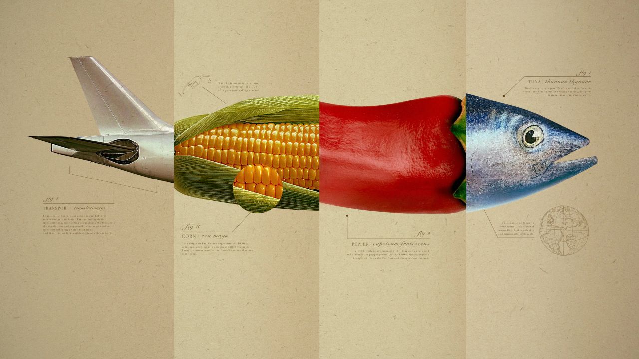 Omnivore: Where to Watch and Stream Online | Reelgood