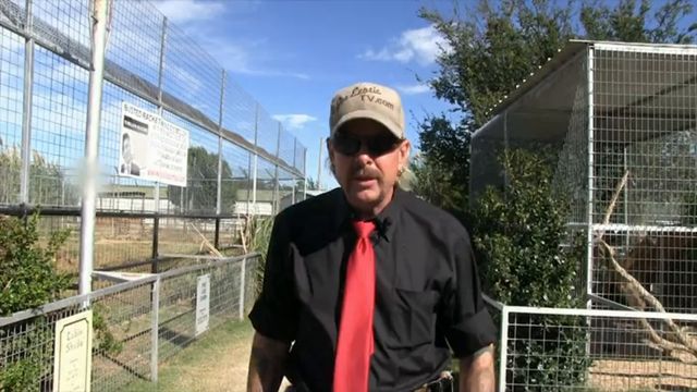 TMZ Investigates: Tiger King - What Really Went Down?: Where to Watch