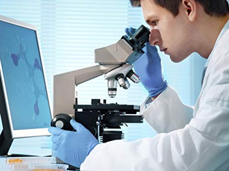 Thermodynamics: Four Laws That Move the Universe