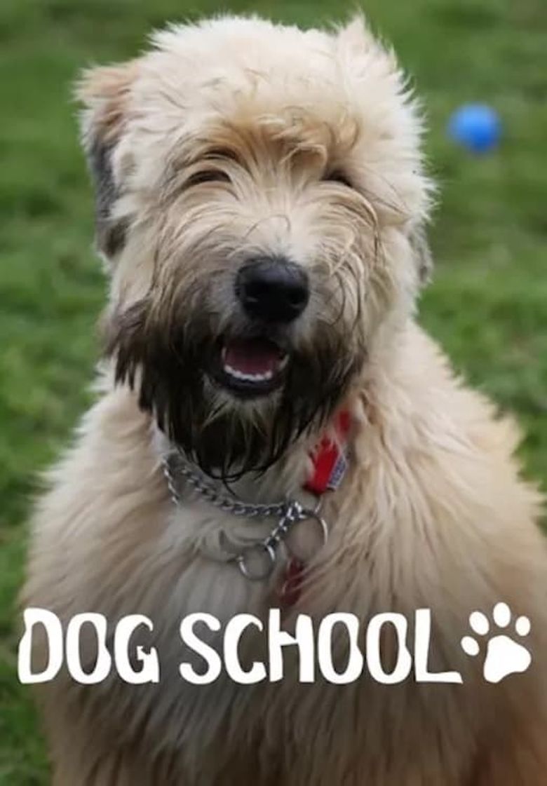 Dog School Poster