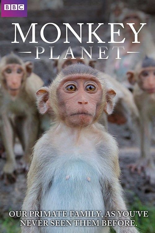 Monkey Planet Poster