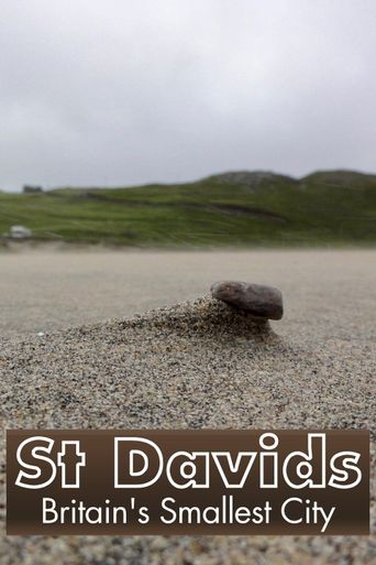  St David's: Britain's Smallest City Poster