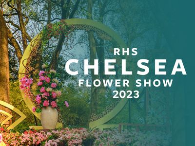 Season 03, Episode 11 RHS Chelsea Flower Show S3 E11