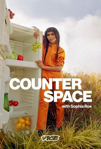  Counter Space Poster