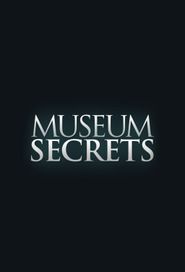  Museum Secrets Poster