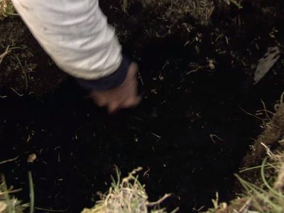 Season 2011, Episode 12 How to Build an Ancient Man