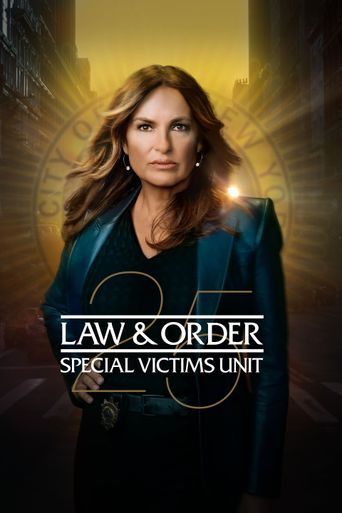  Law & Order: Special Victims Unit Poster