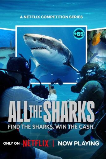 All the Sharks Poster