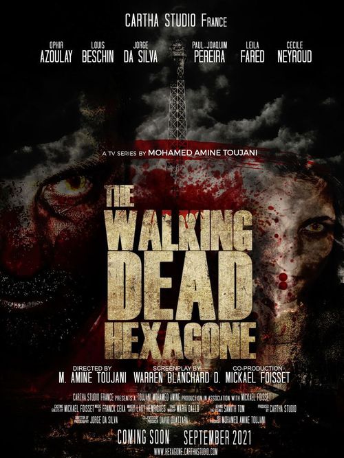 The Walking Dead: Hexagone Poster