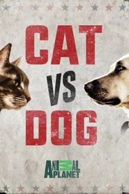  Cat Vs. Dog Poster