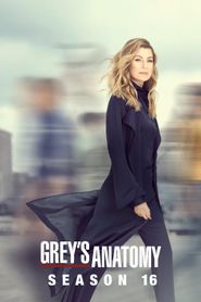 Grey's Anatomy Season 16 Poster