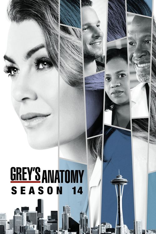 Grey's Anatomy Season 14: Where To Watch Every Episode