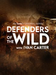  Defenders of the Wild Poster
