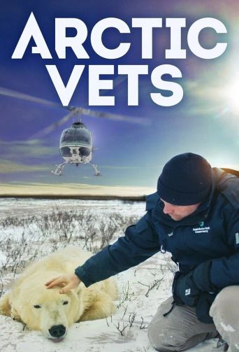Arctic Vets Poster