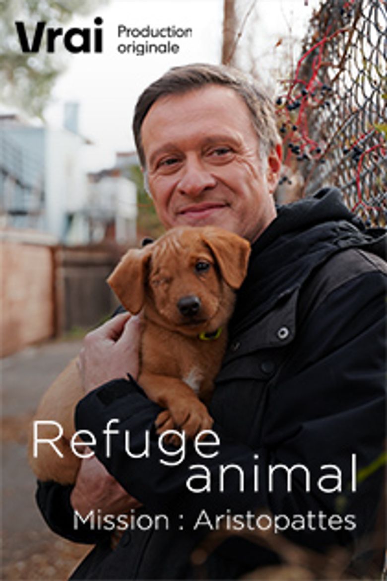 Refuge animal : Mission Aristopattes