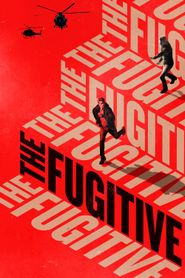  The Fugitive Poster