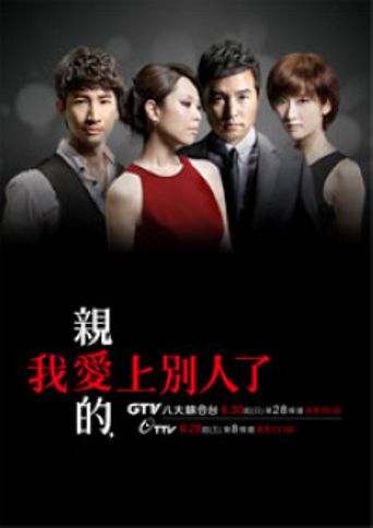 A Good Wife Poster