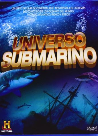  Underwater Universe Poster
