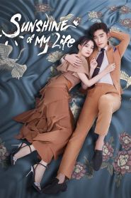  Sunshine of My Life Poster