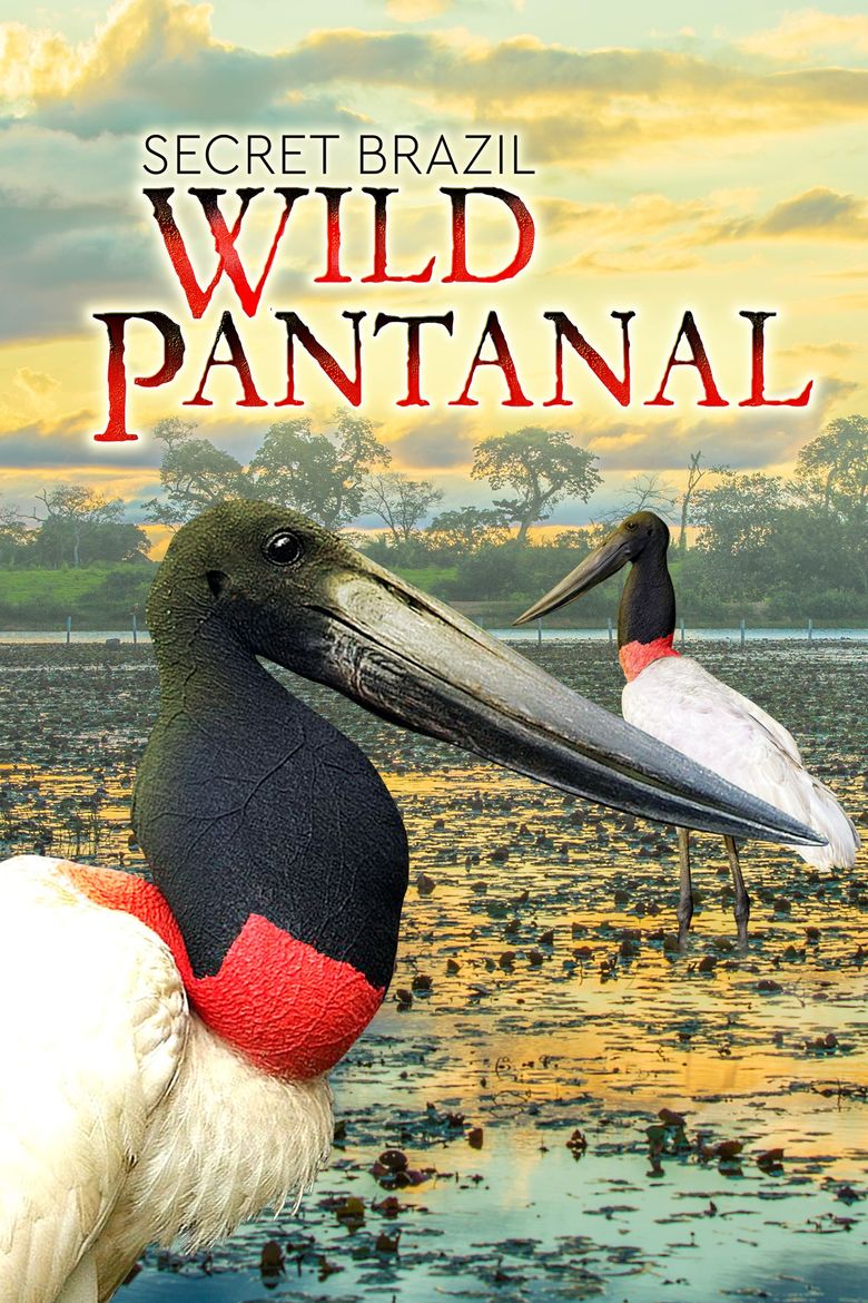 Secret Brazil Pantanal Uncut