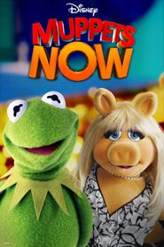 Muppets Now Season 1 Poster