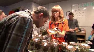 Season 2014, Episode 01 Marijuana in America: Colorado Pot Rush