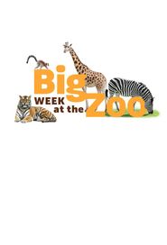  Big Week at the Zoo Poster