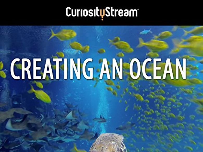 Creating an Ocean