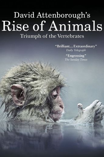  David Attenborough's Rise of Animals: Triumph of the Vertebrates Poster