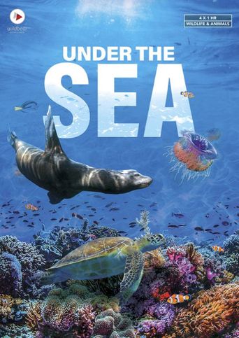 under-the-sea-where-to-watch-and-stream-online-reelgood