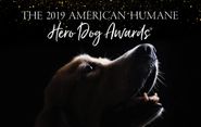  American Humane Hero Dog Awards Poster