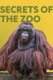 Secrets of the Zoo Season 3 Poster