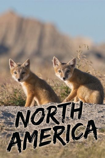  North America Poster
