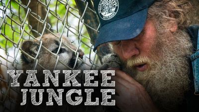 Yankee Jungle 2 : Programs : Animal Planet : Discovery Press Web