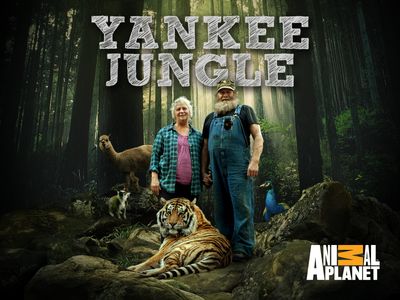 Yankee Jungle 2 : Programs : Animal Planet : Discovery Press Web