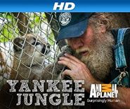  Yankee Jungle Poster