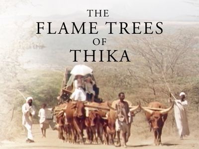 holly aird flame trees of thika